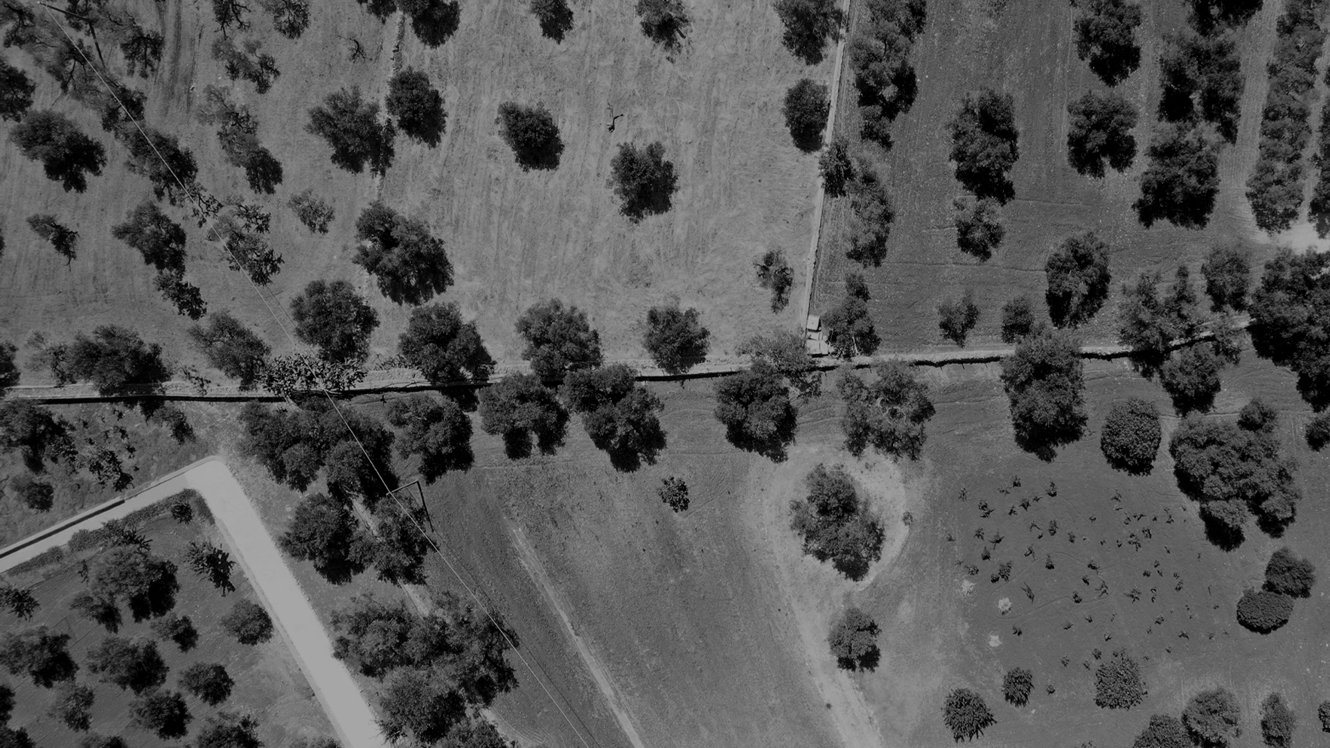 A rural wedding location from above